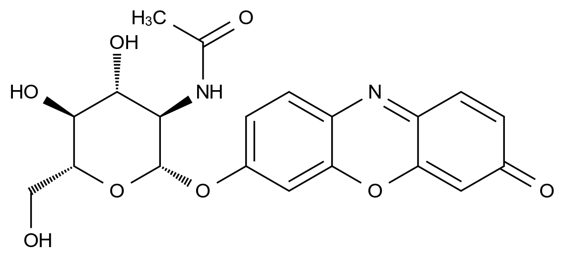 [124762-32-9]3-Oxo-3H-phenoxazin-7-yl 2-acetamido-2-deoxy-β-D-glucopyranoside