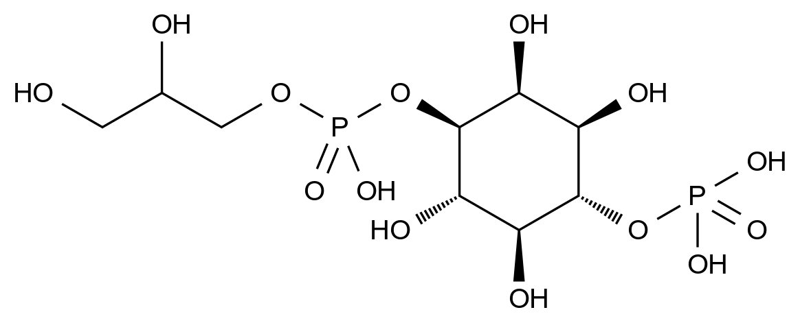 [125638-70-2]2,3-dihydroxypropyl [(2S,3S,5R,6S)-2,3,5,6-tetrahydroxy-4-phosphonooxycyclohexyl] hydro