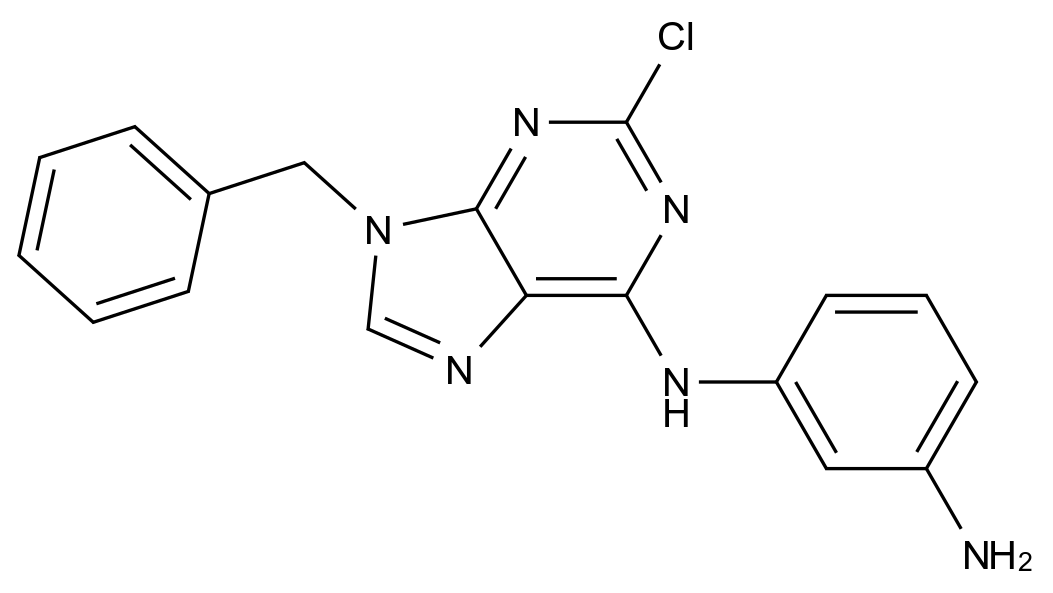 [125802-64-4]3-N-(9-benzyl-2-chloropurin-6-yl)benzene-1,3-diamine